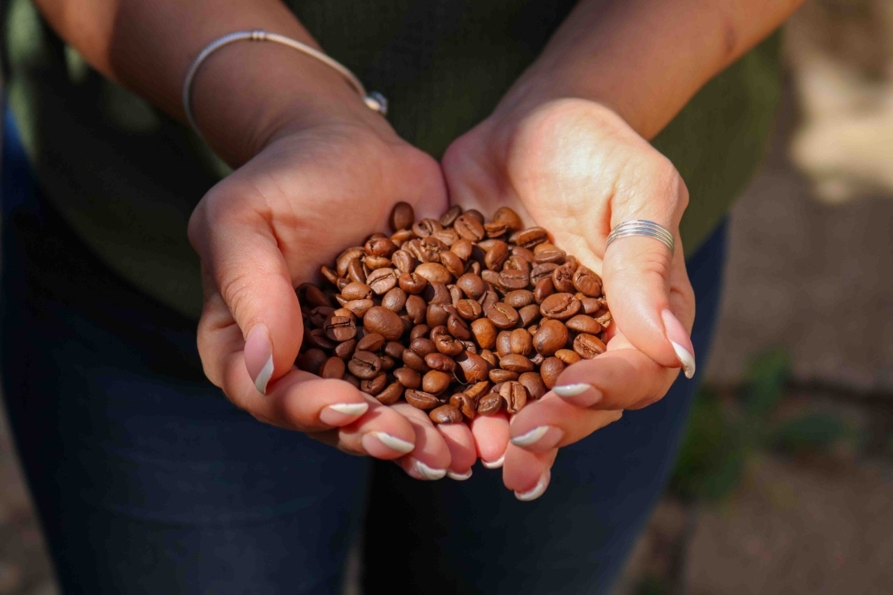 Grano de Café